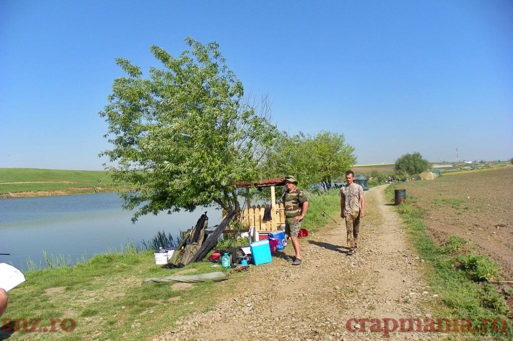 Concurs Party Cup - Sulimanu - 1010547.jpg